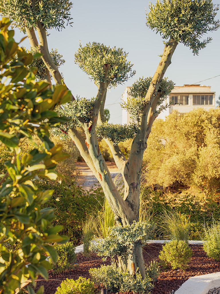 Dış-Mekan-Çözümleri