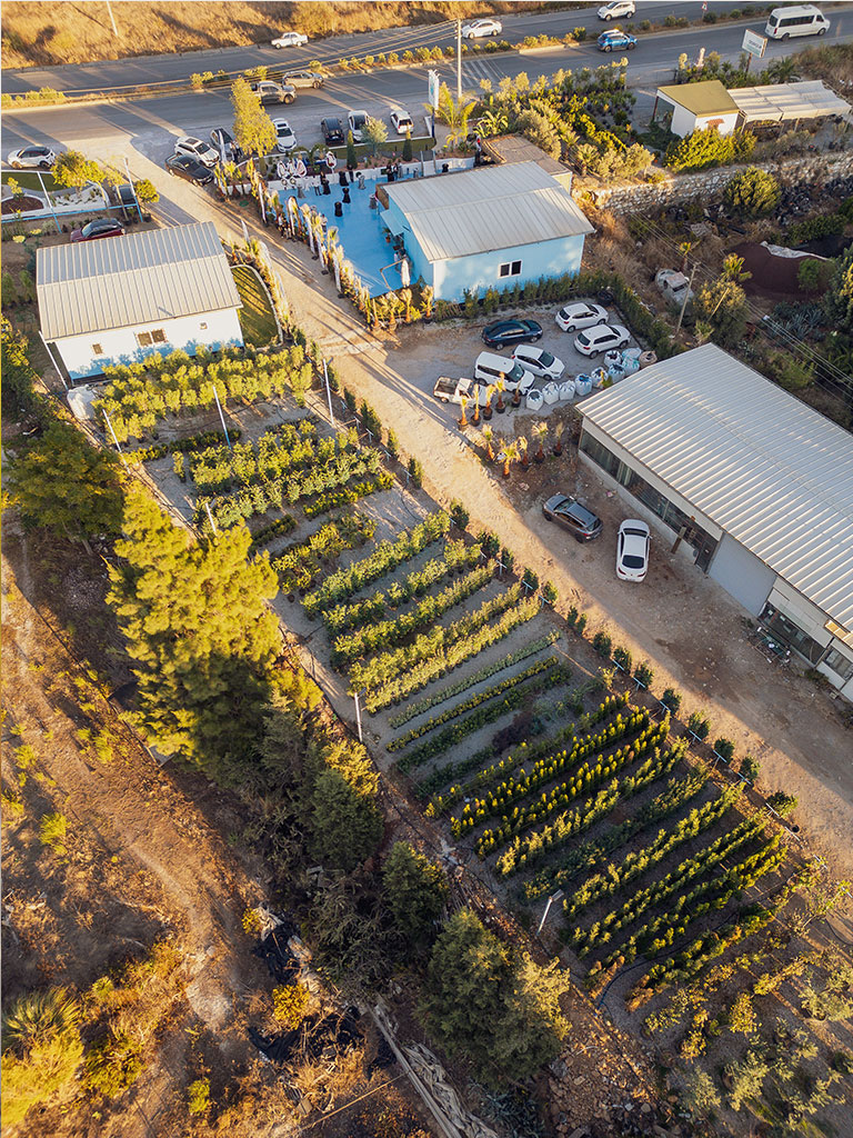 Site Bakım Hizmetleri